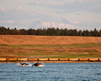 Northwest Images