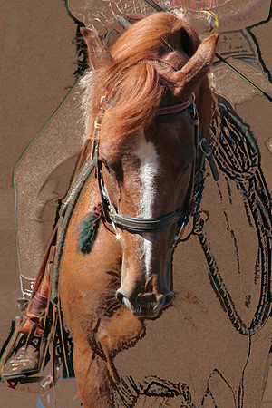'Thunder, Lightening'