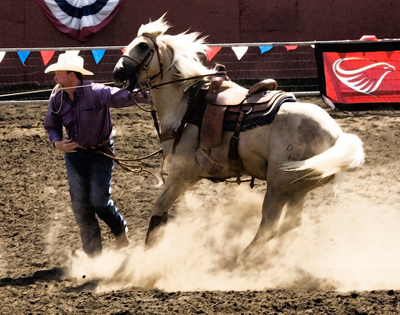 Roper - Ellensburg Rodeo