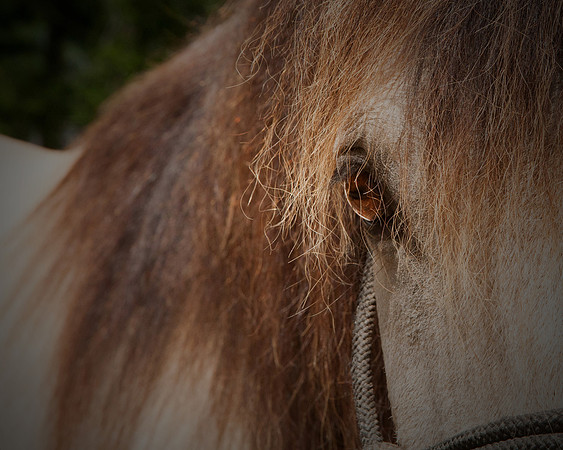 'Sky'
