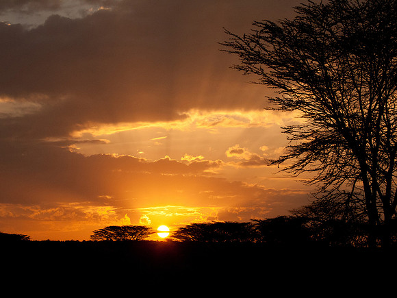 Sunrise in Maasailand