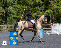 2025 Working Equitation Island Style Show #2